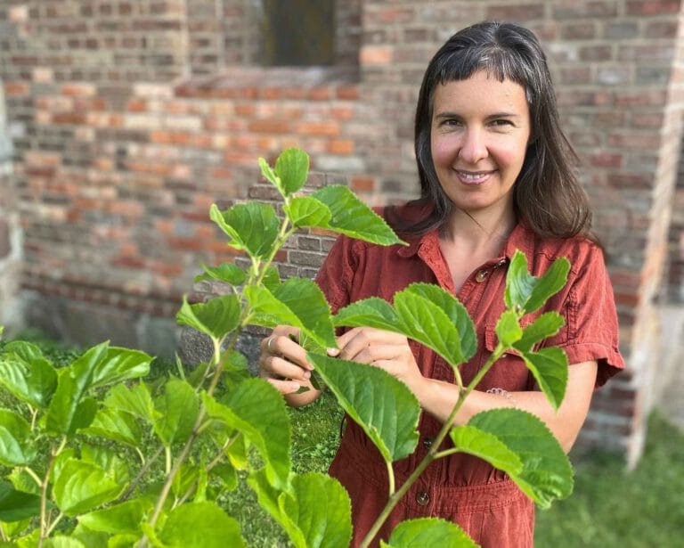 Frau pflückt Beeren