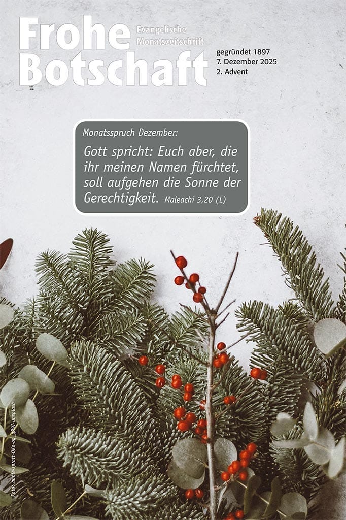 Zeitschrift mit Tannenzweigen auf dem Cover