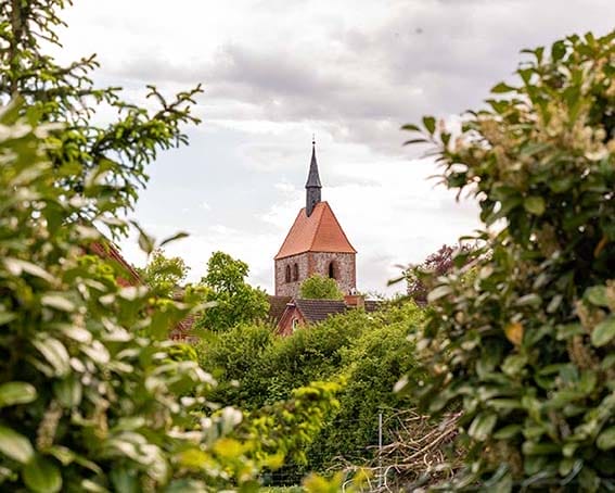 Kirchturm zwischen Bäumen